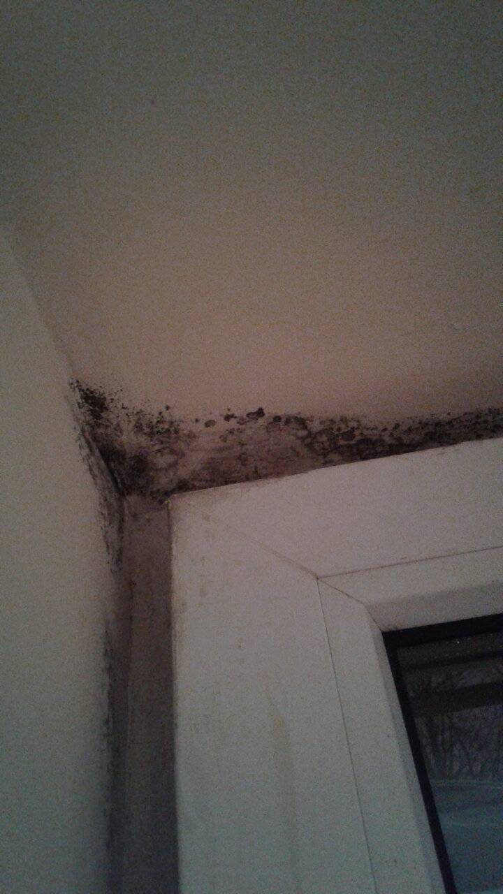 Фото Гостиницы Приорат Гатчина 174